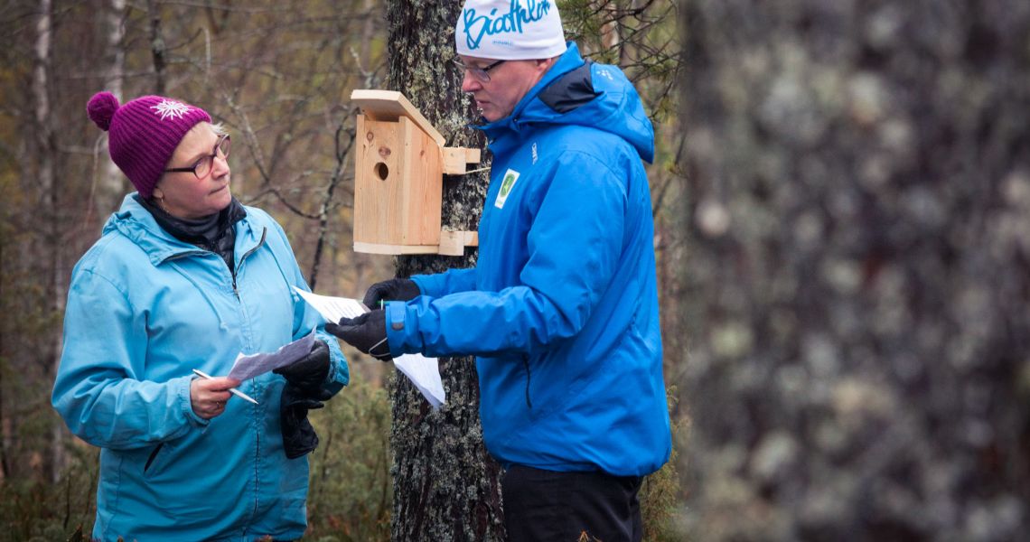 Ohjattuja metsäretkiä, Koihu Adventures, Ilomantsi